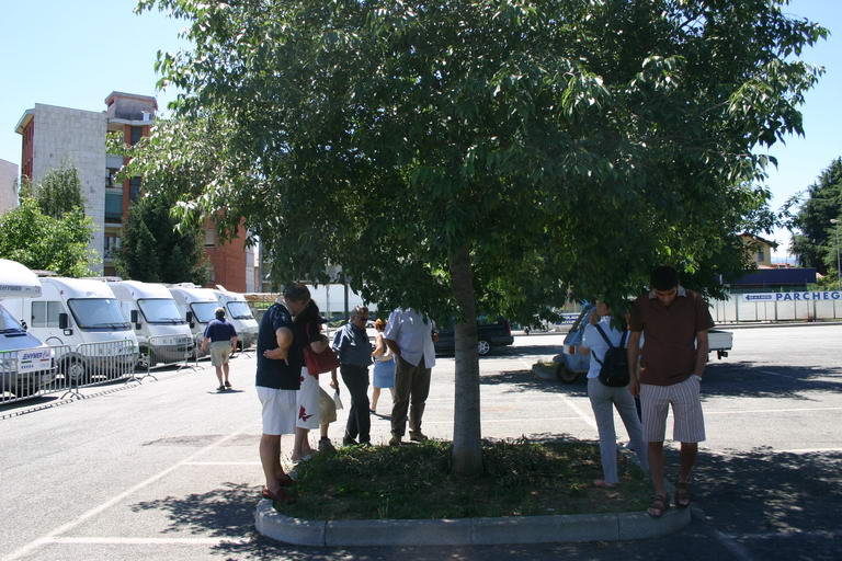 IMG 3441